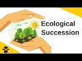 The Dynamics of Ecological Succession in Changing Environments