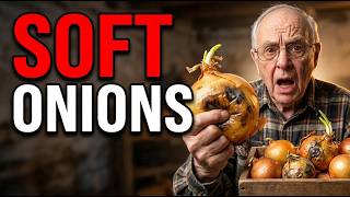 Your Stored Onions Are Going Soft — Here's Exactly What Went Wrong screenshot 1