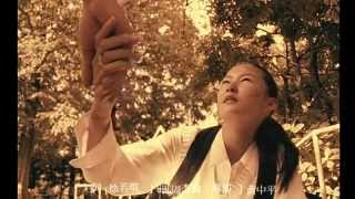 Video thumbnail of "Jay Chou - Simple Love (eng subs)"