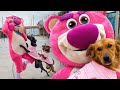 24 HORAS VIVIENDO ROSA con perros de la calle! ft. Pinky Bear