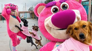 Download lagu 24 HOURS LIVING IN PINK with street dogs! ft. Pinky Bear