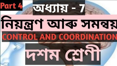 নিয়ন্ত্ৰণ আৰু সমন্বয়.CONTROL AND COORDINATION.CLASS 10 SCIENCE IN ASSAMESE .Part 4
