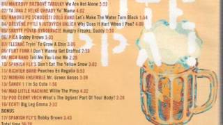 Moberg Ensemble - Mr.Green Genes (Salute Zappa, Black Point-2003)