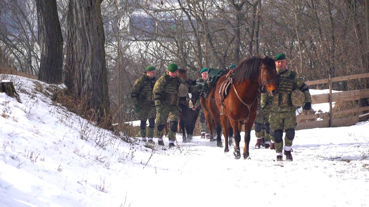 In the world of huțuls