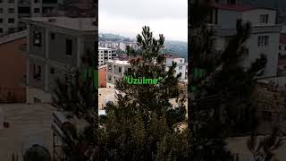 İzle, hisset abone ol devamı gelsin.