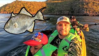 Nos Fuimos A Pescar En Kayak Peces Ballesta