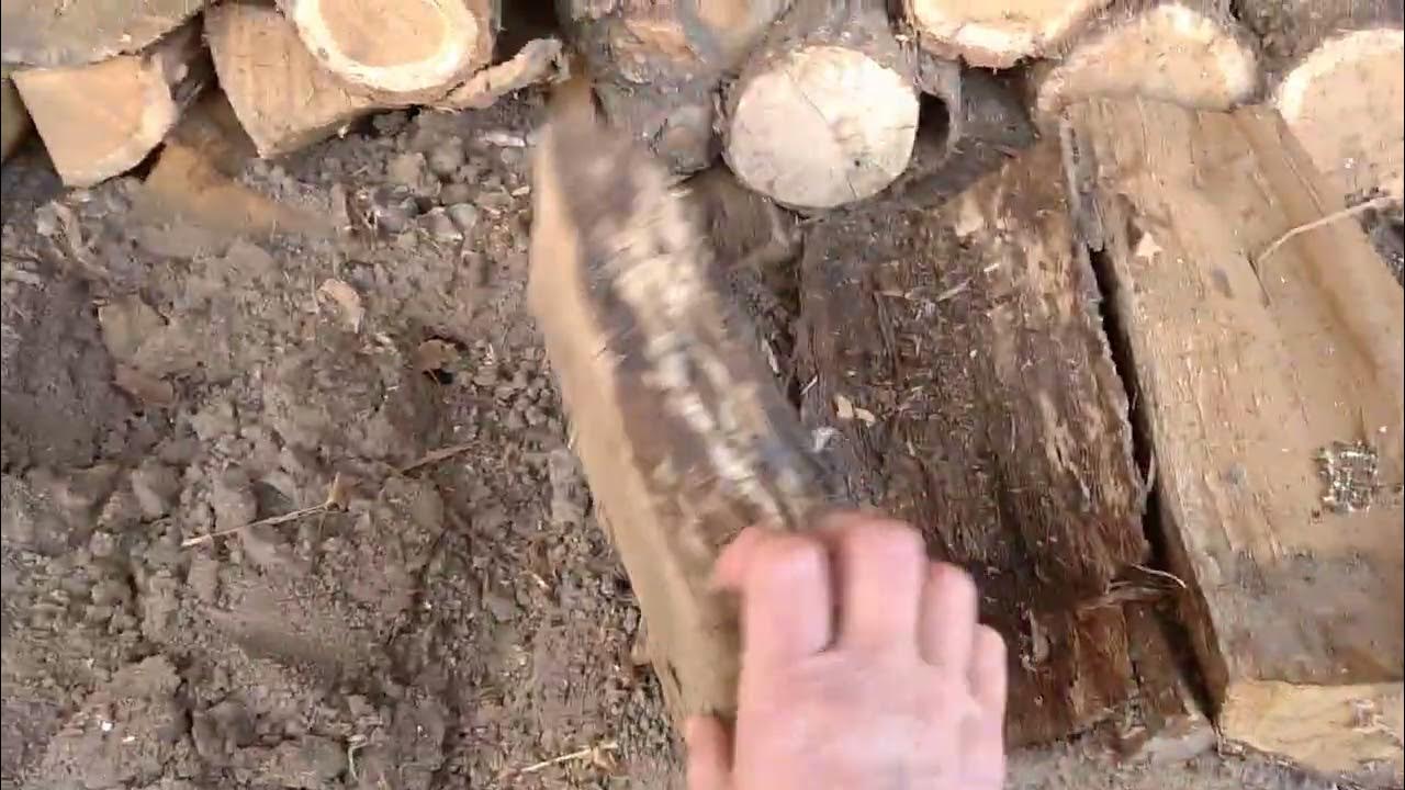 ТРИХОДЕРМА,БИО-ФУНГИЦИД...БЕСПЛАТНО И РЯДОМ. - YouTube
