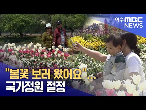 &amp;quot;<strong>봄꽃</strong> 보러 왔어요&amp;quot;...국가정원 절정  -R(250427일/뉴스데스크)