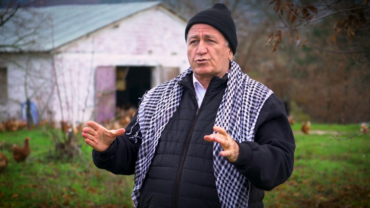 Kor Yumurta Migros TV