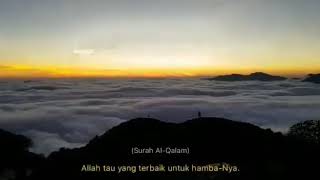 Story wa qiroah merdu Al qalam, bikin hati sejuk