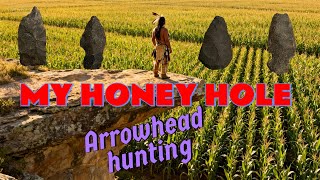 I can't believe how many arrowheads there are in these fields-arrowhead hunting 