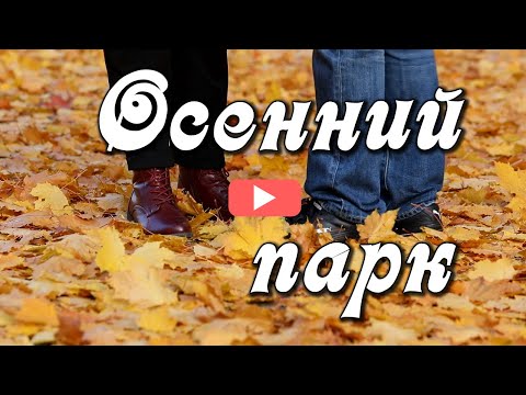 Доброе утро! Осень и саксофон. Прогулка по опустевшему осеннему парку.