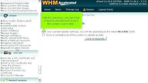 How to perform a manual upgrade of cPanel & WHM