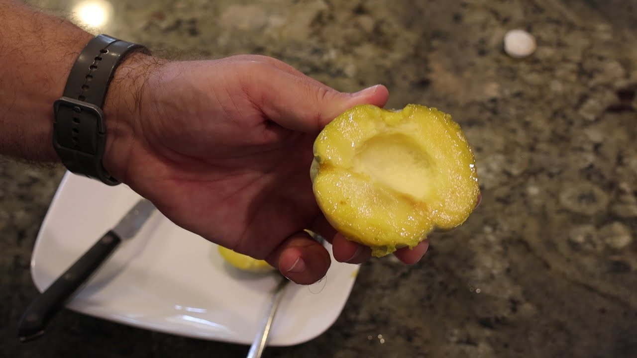 Younghan's White Sapote