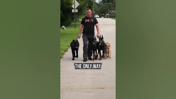 The Real Path to Reliable Off-Leash Control!