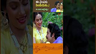 ఈ చెంపకు సెలవీయకు..Ee Chempaku Selaveeyaku Song | Chiru, Madhavi #DongaMogudu #Shorts #YoutubeShorts