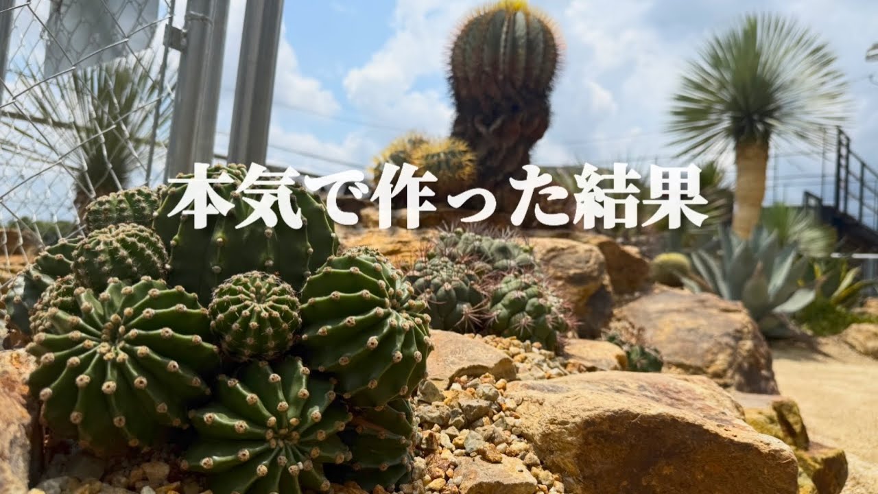 【完成】庭のサボテンエリア｜本気で作った結果！