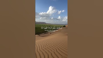 #قران_كريم سورة الإنسان آية 20-22: وإذا رأيت ثم رأيت نعيماً وملكاً كبيرا #سعود_الشريم