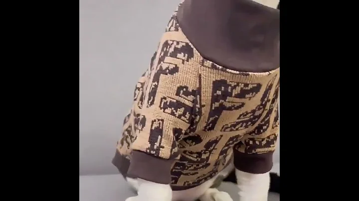 Watch the video about Turtleneck Cat Shirts Sphynx Clothes Soft Fendi