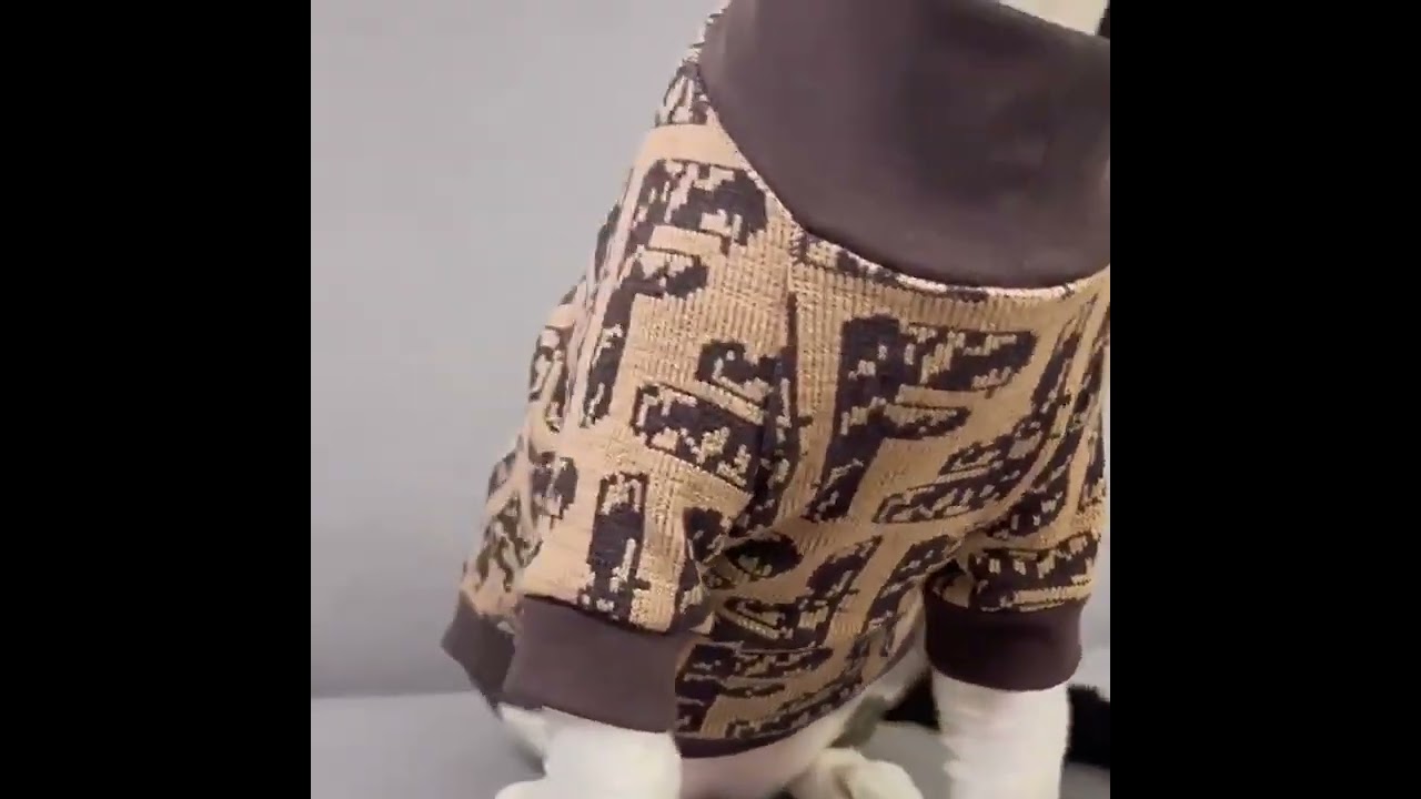 Turtleneck Cat Shirts Sphynx Clothes Soft Fendi