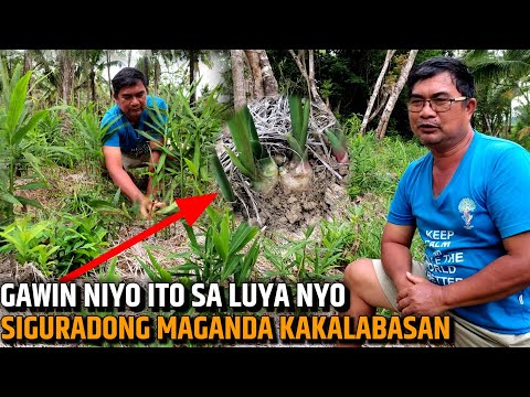 Video: Paano Mapabilis Ang Proseso Ng Paglaki