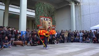 Story wa reog ponorogo psht