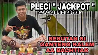 PLECI " JACKPOT " NEMBAK SEJALUR GAYA GIBRIG GETER" || MILIK AA BACHTIAR
