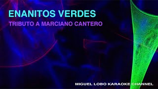 ENANITOS VERDES - TRIBUTO MARCIANO CANTERO - Karaoke Channel Miguel Lobo