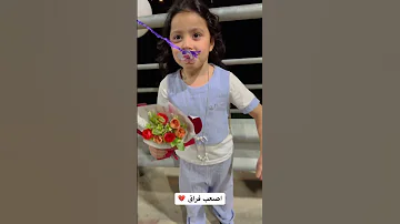 واخير موج بت علي الخفاجي تركت الملهي 