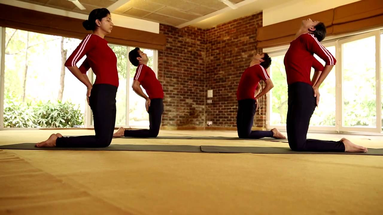 International Yoga Day: योगा के लिए Best-5 मोबाइल ऐप्स, Fit एंड Fine रहने  के लिए कमाल की देते हैं Tips| Zee Business Hindi