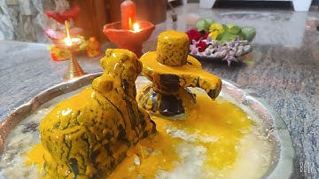 Shiv abhishek vidhi | Rudra abhishek | Mahashivratri abhishekam  |  with 11 Things | Pooja