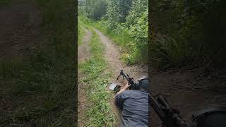 4000+ fps vs. Steel Target! .22-250rem 40gr fmj