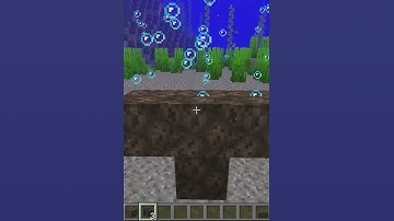Can you create wither in water? #shorts
