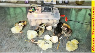 How to Make Mini Egg Incubator At home By using Plastic Bowl - 100% Chicks Hatching