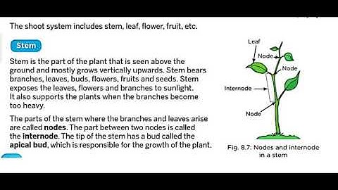 Class 6th Subject Science Ch-8 part 2 by ANUJ YADAV SIR 18 9 20
