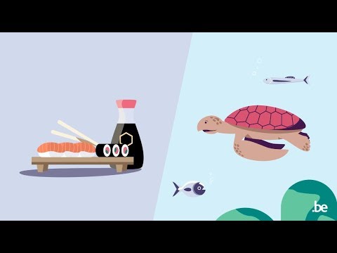 Wat is het verband tussen de sushi en de schildpad?