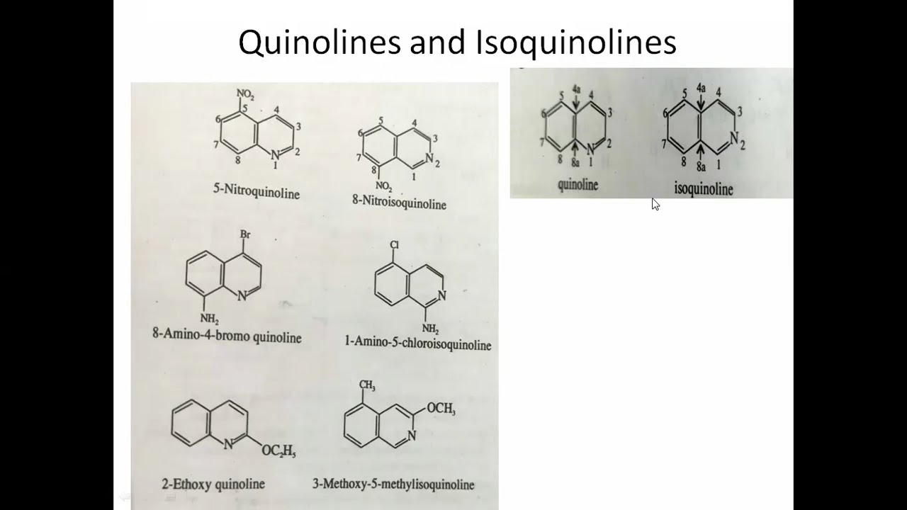 IUPAC Nomenclature/Garaduation/T.Y.BSc/Chemistry/Fused and Bridged Ring System✍️ 😀