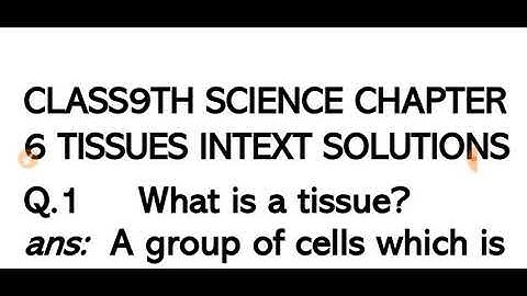 Class9th Science chapter 6 Tissues INTEXT SOLUTIONS