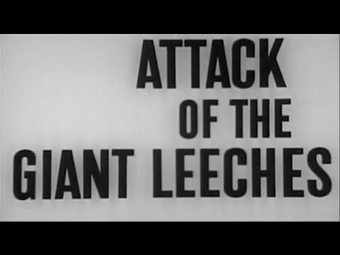 This Is Psychotronic Cinema still