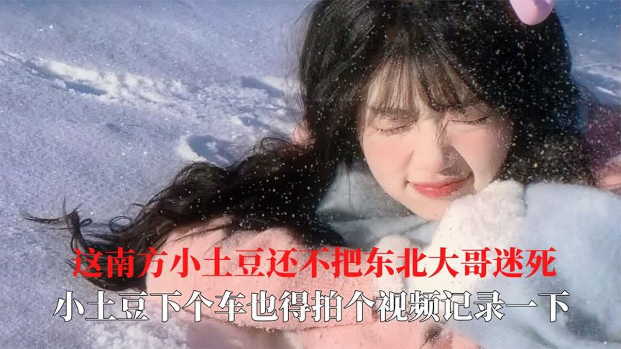 南方小土豆还不把东北大哥迷死，小土豆下车也得拍个视频记录一下