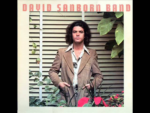 David Sanborn - Morning Salsa