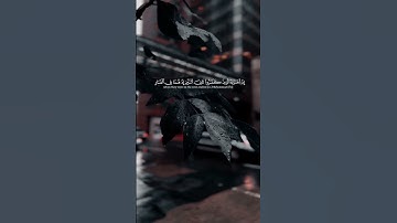 سورة التوبة