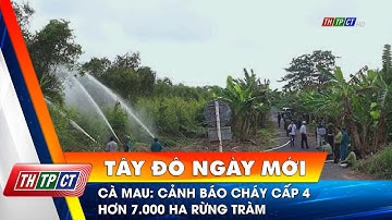 Cà Mau: Cảnh báo cháy cấp 4 hơn 7.000 ha rừng tràm| Cần Thơ TV