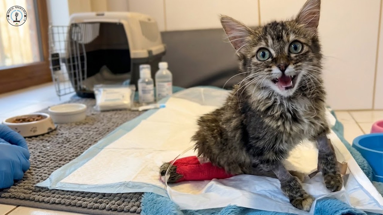 «Не оставляй меня!» Она рухнула нам в объятия в тот момент, когда почувствовала настоящую любовь.