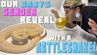 Our Baby's Gender Reveal WITH A RATTLESNAKE !!! *OMG!*