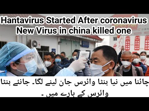 hantavirus,-new-virus-after-coronavirus-first-death-in-china-|-what-is-hantavirus-and-symptoms