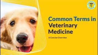 Uncover the Lingo of Veterinary Medicine - You Won't Believe What It Means!