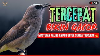 Download Lagu SUARA JERNIH‼️TRUCUKAN GACOR ROPEL PANJANG MASTERAN-PANCINGAN AMPUH TRUCUKAN BAHAN PASTI NYAUT ROPEL MP3