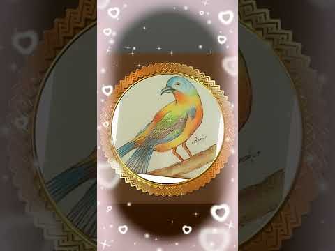 رسم عصفور علي غصن شجره بالالوان طائر ملون بالالوان الخشبيه من رسوماتي