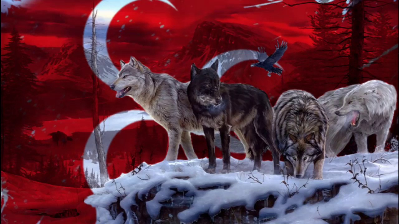 YouTube에서 Yine Gürşat Kale - 2019 Seçim Müziği 보기 YouTube에서 Yine Gürşat Kale - 2019 Seçim Müziği 보기